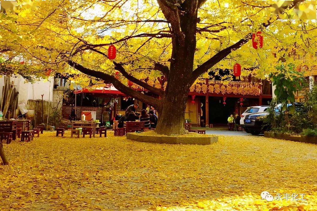 七彩云南，邂逅浪漫